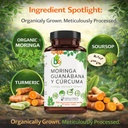moringa-guanabana-curcuma-moringa-sourso-4.jpg