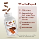 andrew-lessman-cinnamon-400mg-60-capsule-4.jpg