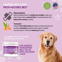 herbion-pets-joint-care-chews-with-gluco-2.jpg