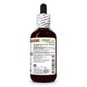 hawaii-pharm-cilantro-alcohol-free-extra-2.jpg