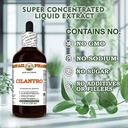 hawaii-pharm-cilantro-alcohol-free-extra-6.jpg