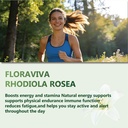 rhodiola-rosea-capsules-500mg-natural-ad-6.jpg
