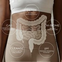 todicamp-melanin-rich-physiology-colon-c-5.jpg