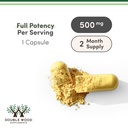 berberine-supplement-500mg-60-capsules-t-3.jpg