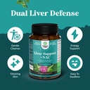 bundle-of-liver-support-nac-supplement-w-4.jpg