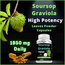 1950mg-soursop-graviola-capsules-guan-ba-3.jpg