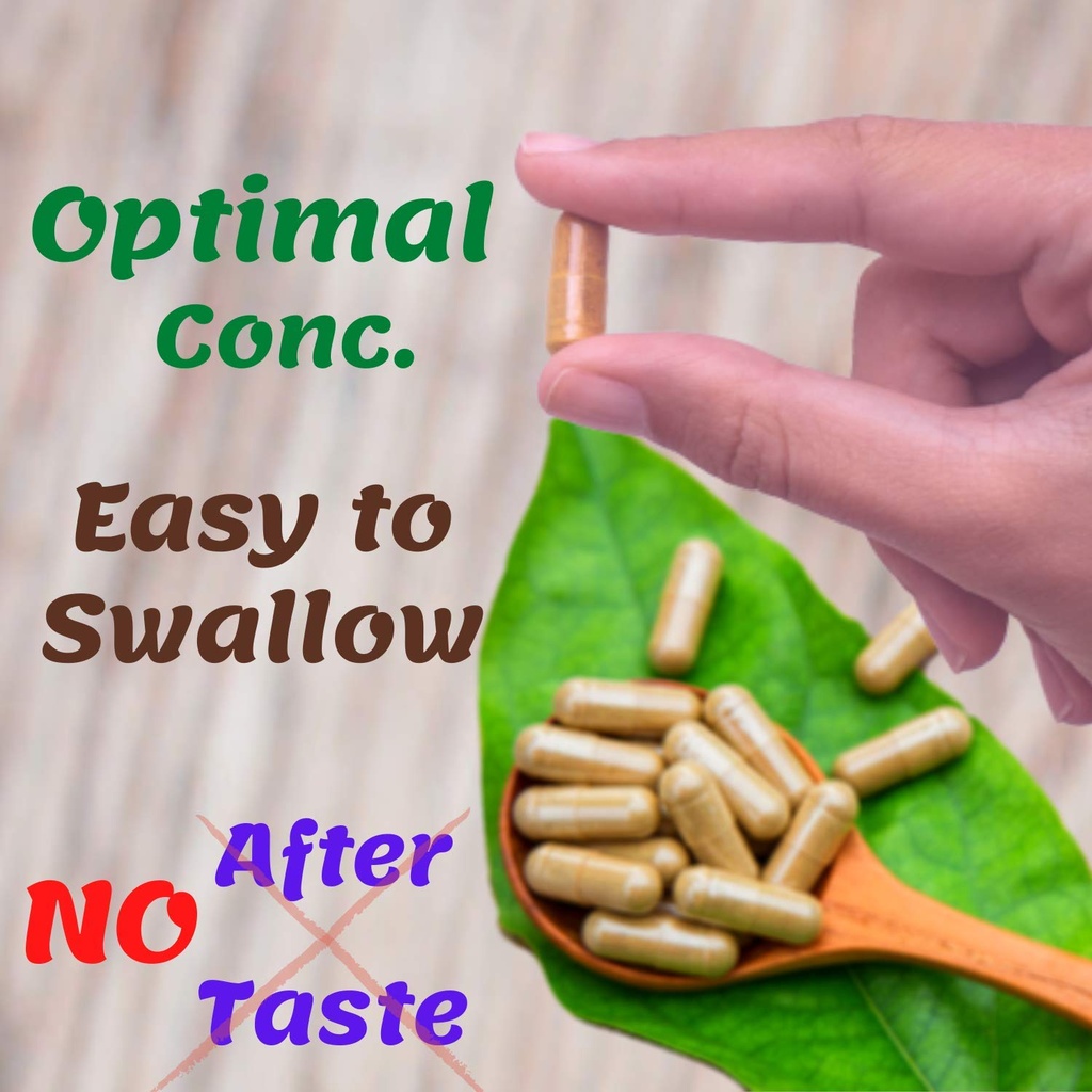 1950mg-soursop-graviola-capsules-guan-ba-6.jpg