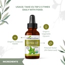 guayusa-leaf-extract-brain-focus-natural-6.jpg