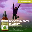 guayusa-leaf-extract-brain-focus-natural-3.jpg