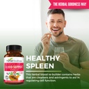 herbal-goodness-papaya-leaf-blood-suppor-3.jpg