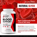 natural-glyco-blood-support-advanced-blo-4.jpg