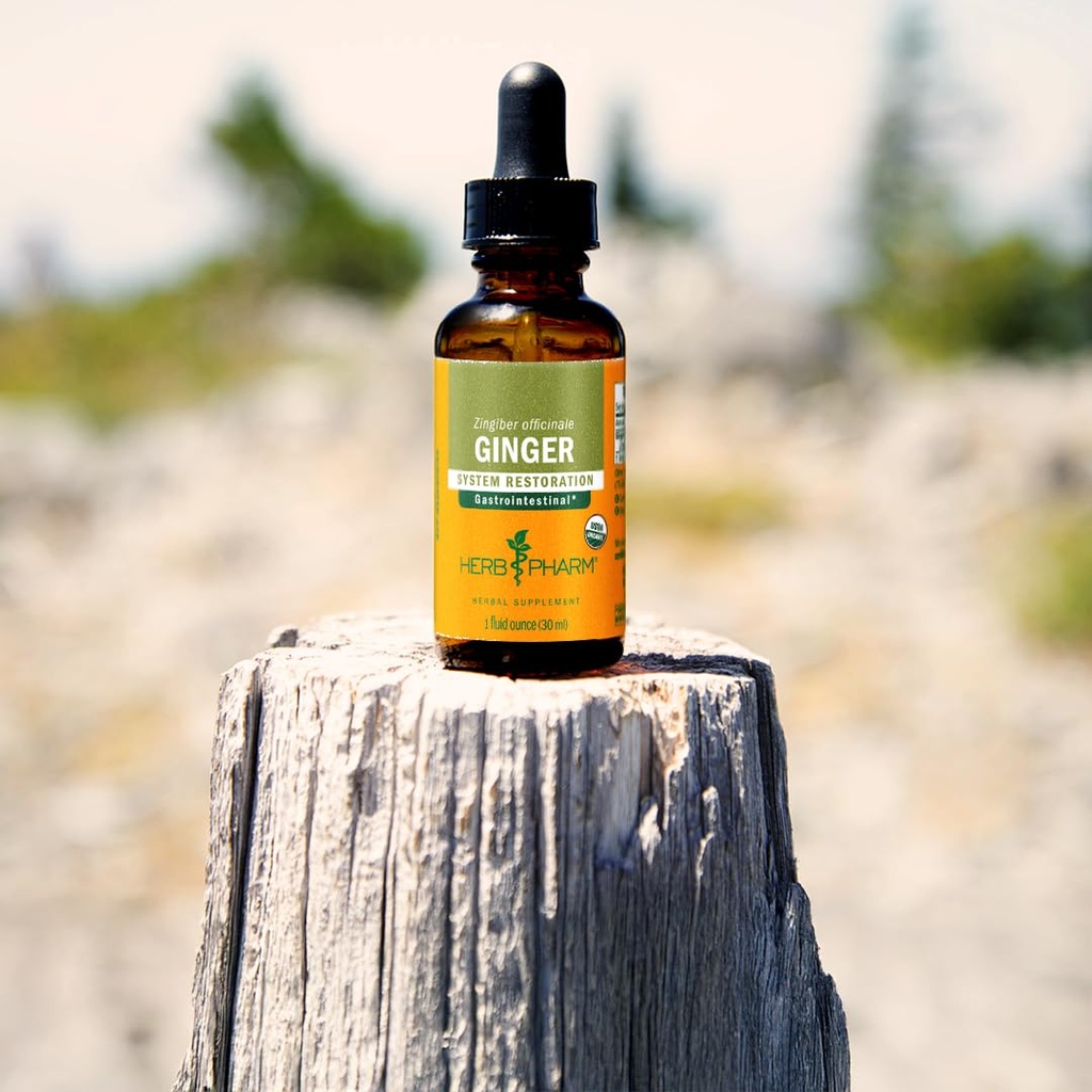 herb-pharm-ginger-liquid-extract-organic-4.jpg