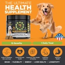 googipet-premium-10-in-1-dog-vitamins-mu-4.jpg