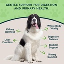 animal-essentials-dandelion-extract-for--2.jpg