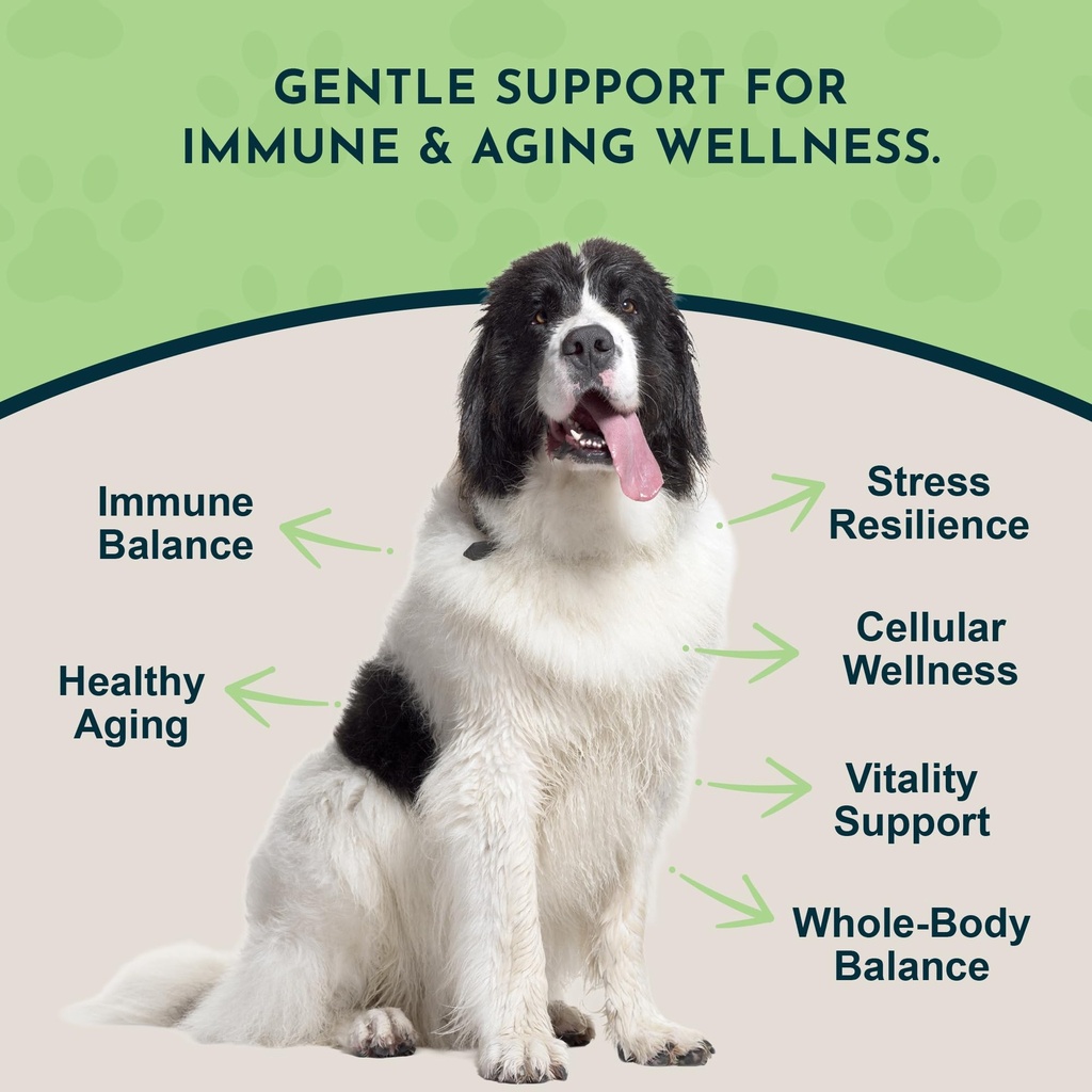 animal-essentials-longevity-reishi-mushr-3.jpg