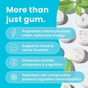 neuro-energy-focus-bundle-peppermint-noo-5.jpg