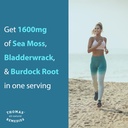 thomas-all-natural-remedies-irish-sea-mo-3.jpg