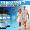 organic-cadane-2-packs-irish-sea-moss-po-4.jpg