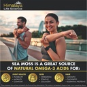 sea-moss-black-seed-oil-bladderwrack-bur-2.jpg