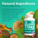 atlantic-naturals-sea-moss-capsules-7-da-6.jpg