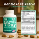 atlantic-naturals-sea-moss-capsules-7-da-3.jpg