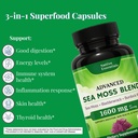 sea-moss-complex-1600mg-thyroid-immunity-3.jpg