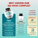 sea-moss-black-seed-oil-ashwagandha-ging-6.jpg