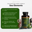 upful-blends-sea-elements-ultimate-sea-v-5.jpg