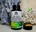 premium-15-in-1-sea-moss-multivitamin-wi-3.jpg