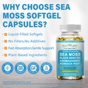 high-absorption-irish-sea-moss-advanced--4.jpg