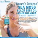 high-absorption-irish-sea-moss-advanced--5.jpg