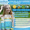 high-absorption-irish-sea-moss-advanced--3.jpg