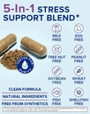 terranics-ashwagandha-l-theanine-supplem-6.jpg