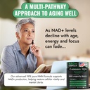 benevolent-advanced-nmn-supplement-1000m-3.jpg