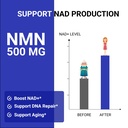 upnourish-nmn-500mg-120-capsules-beta-ni-5.jpg