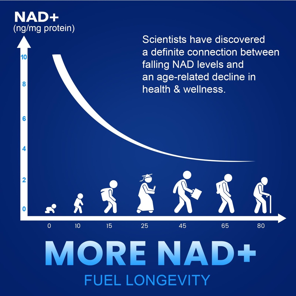nmn-1000mg-per-serving-maximum-strength--4.jpg