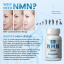 julydeer-nmn-500mg-max-absorbency-fast-a-5.jpg