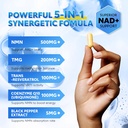 nmn-500mg-capsules-5-in-1-nad-precursor--3.jpg