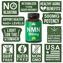 nmn-supplement-ultra-high-strength-stabi-3.jpg