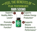 nmn-supplement-ultra-high-strength-stabi-2.jpg