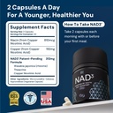 hpn-nad3-clinical-nad-booster-cellular-h-2.jpg