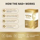 nmn-supplement-real-nicotinamide-mononuc-4.jpg