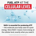 force-factor-nmn-longevity-anti-aging-ni-6.jpg