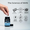 nmn-supplement-500mg-per-serving-nicotin-5.jpg