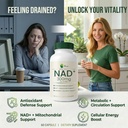 xage-nad-support-supplement-nicotinamide-5.jpg