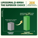 nmnh-supplement-2000mg-liposomal-nicotin-3.jpg