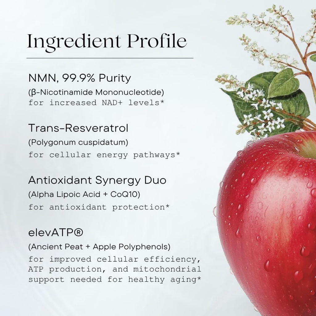 nmn-mitochondria-supplement-nmn-500mg-na-5.jpg