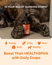 dog-longevity-supplement-nad-nmn-joint-h-3.jpg