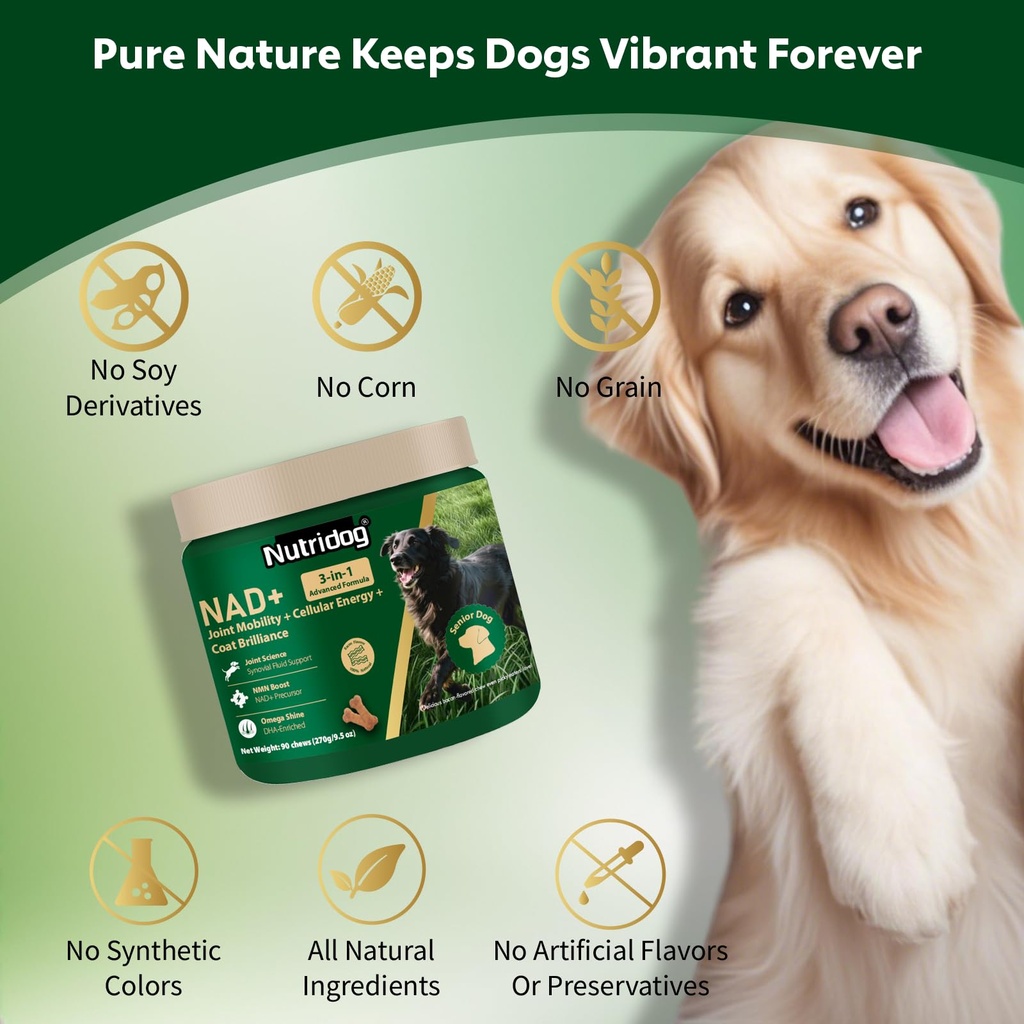 nmn-supplement-for-dogs-nad-booster-anti-6.jpg