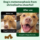 nmn-supplement-for-dogs-nad-booster-anti-4.jpg